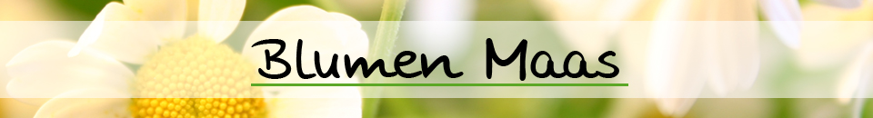 Blumen Maas Logo